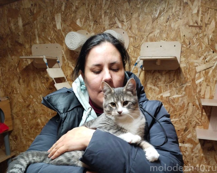 Калужские волонтёры помогают приюту для бездомных животных «Трезор»